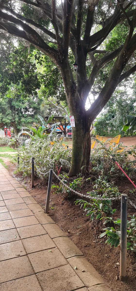 African SafariMan🇺🇬 tweet media