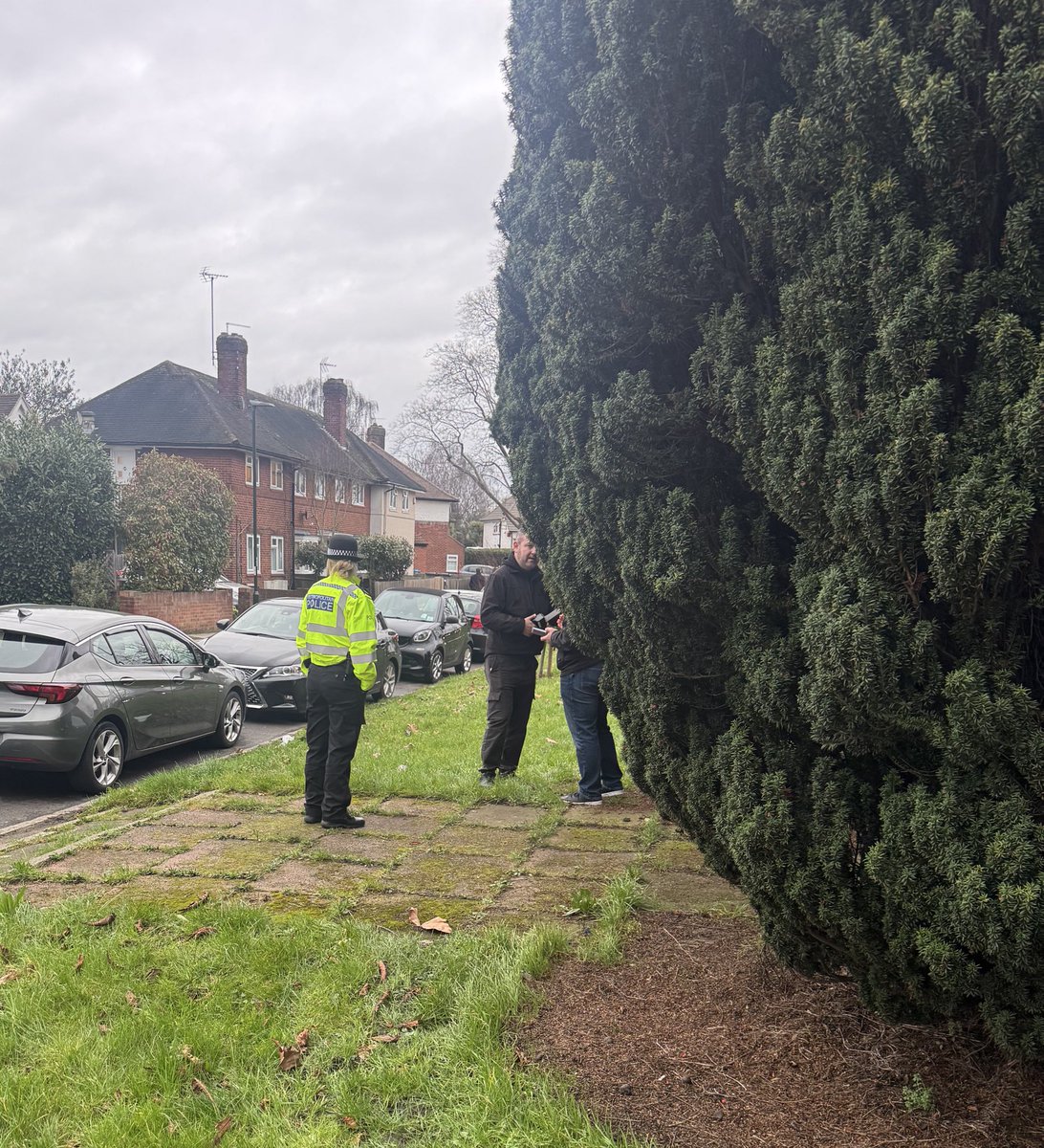 Alexander Ehmann tweet media