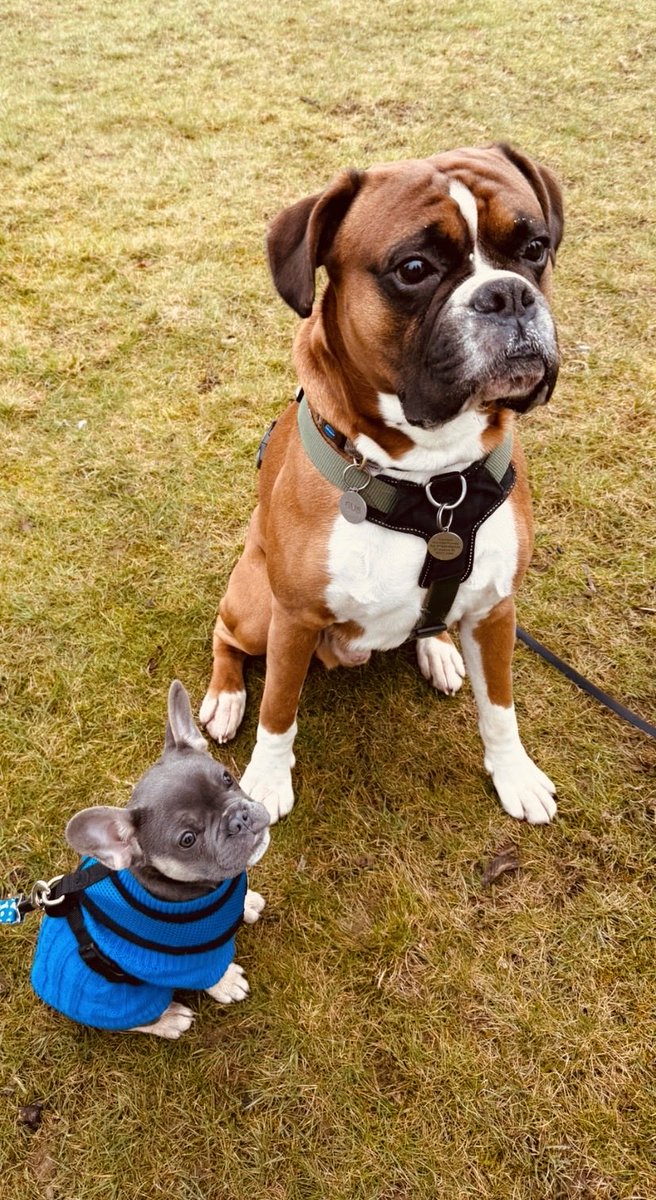 Little ‘Barry’ first meet with Gus….went well.♥️😉