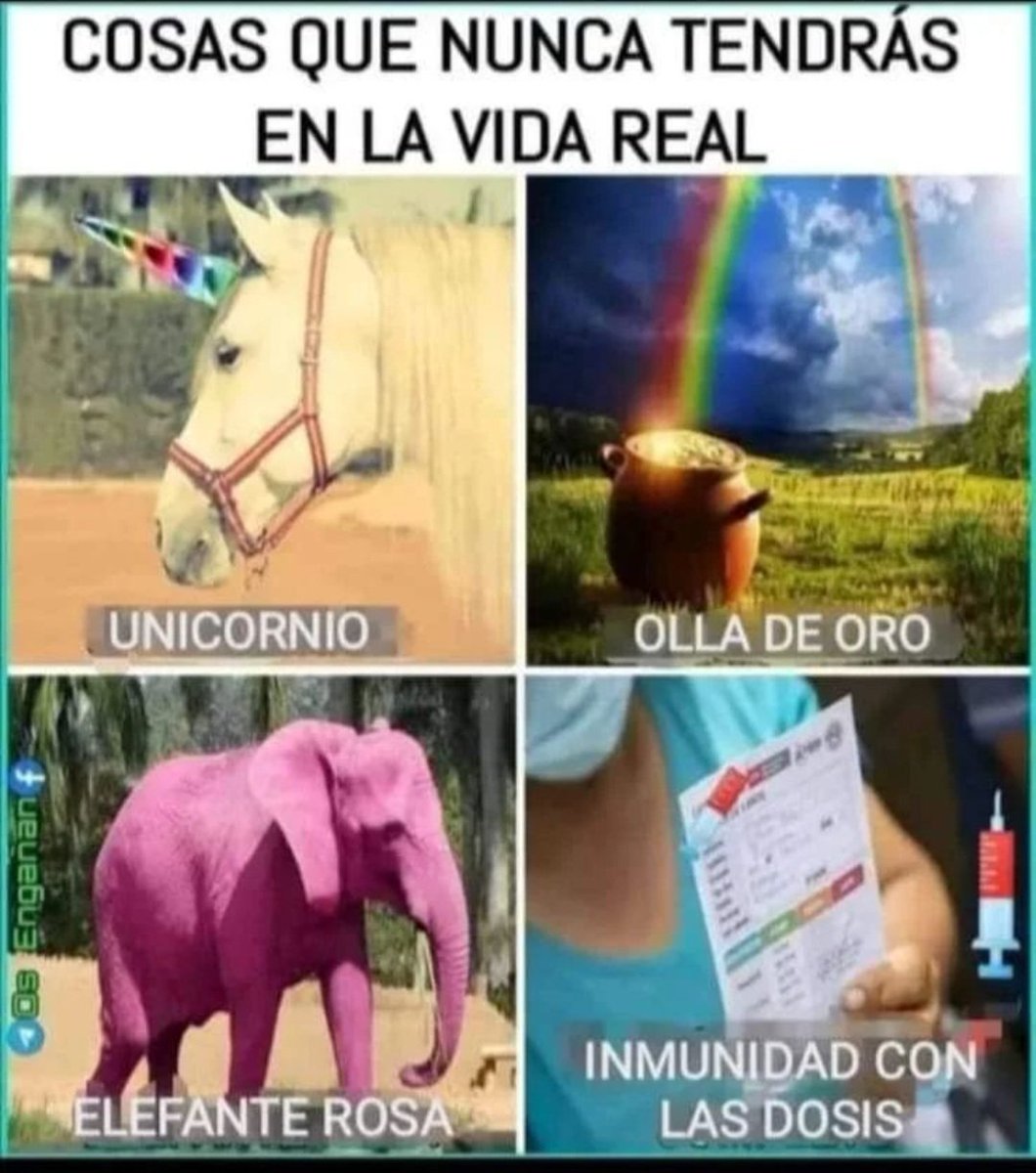 Tercio Legión 4 🇪🇸❌️⚔️ tweet media