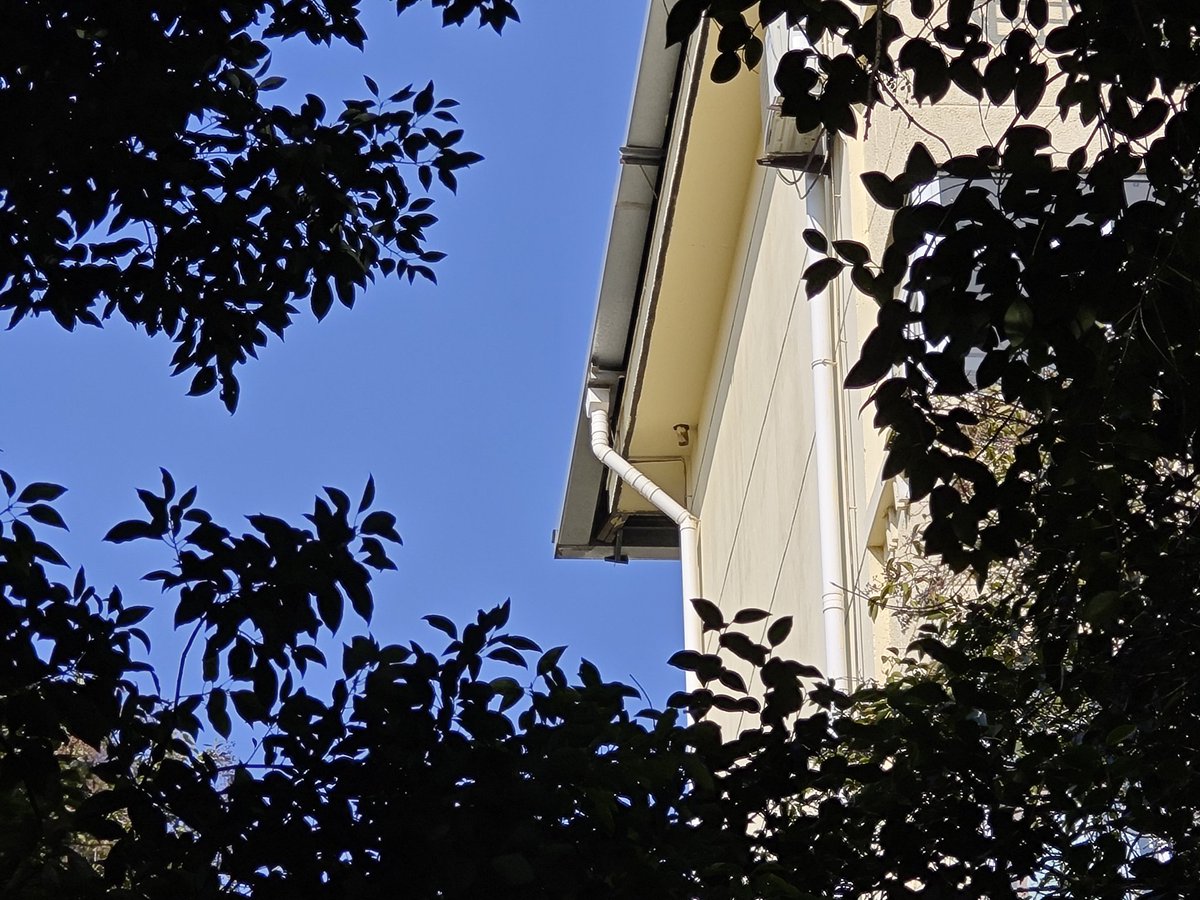 落日贩售机 tweet media