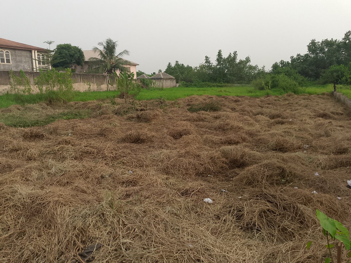 S2000Realtors's tweet photo. F O R    S A L E
AT OPIC RIVERVIEW ESTATE 
I - 5 PLOTS OF LAND WITH PERIMETER FENCE 
PRICE ASKING: N30M PER PLOT

II - A PLOT OF LAND WITH UNCOMPLETED DUPLEX
PRICE ASKING: N45M

ROAD NETWORK MOTORABLE, ELECTRICITY CONNECTED, SECURITY 247

CONTACT: +2348030969664 | +2349155556867 https://t.co/kuWjahZifH