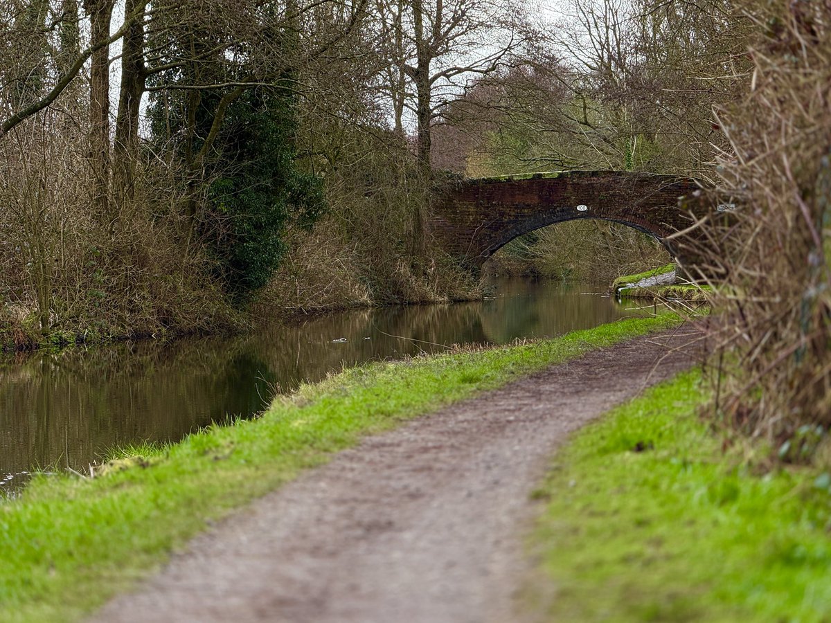 Nick Sigley tweet media