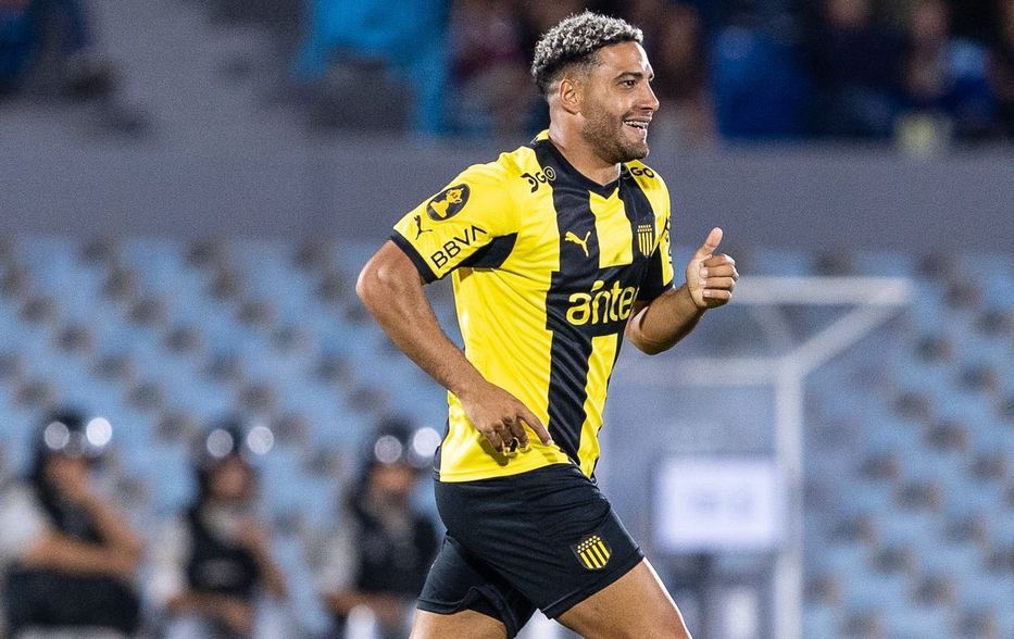 padreydecano.com tweet media