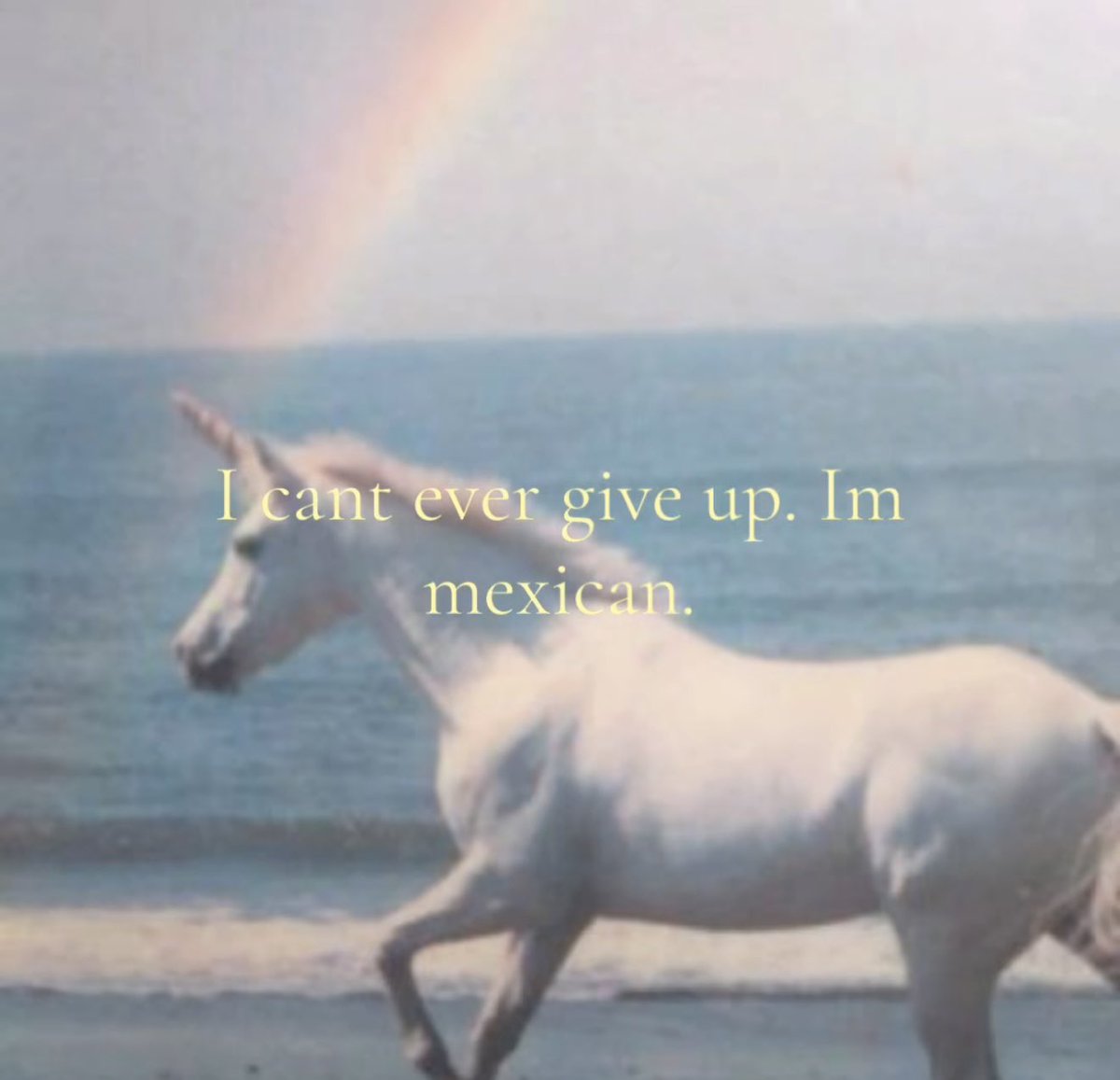 impossiblyeve's tweet image. 