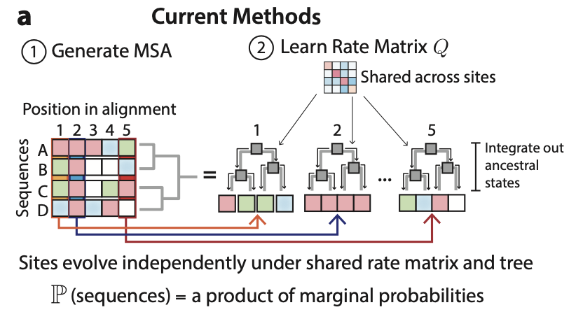 Yun S. Song tweet media