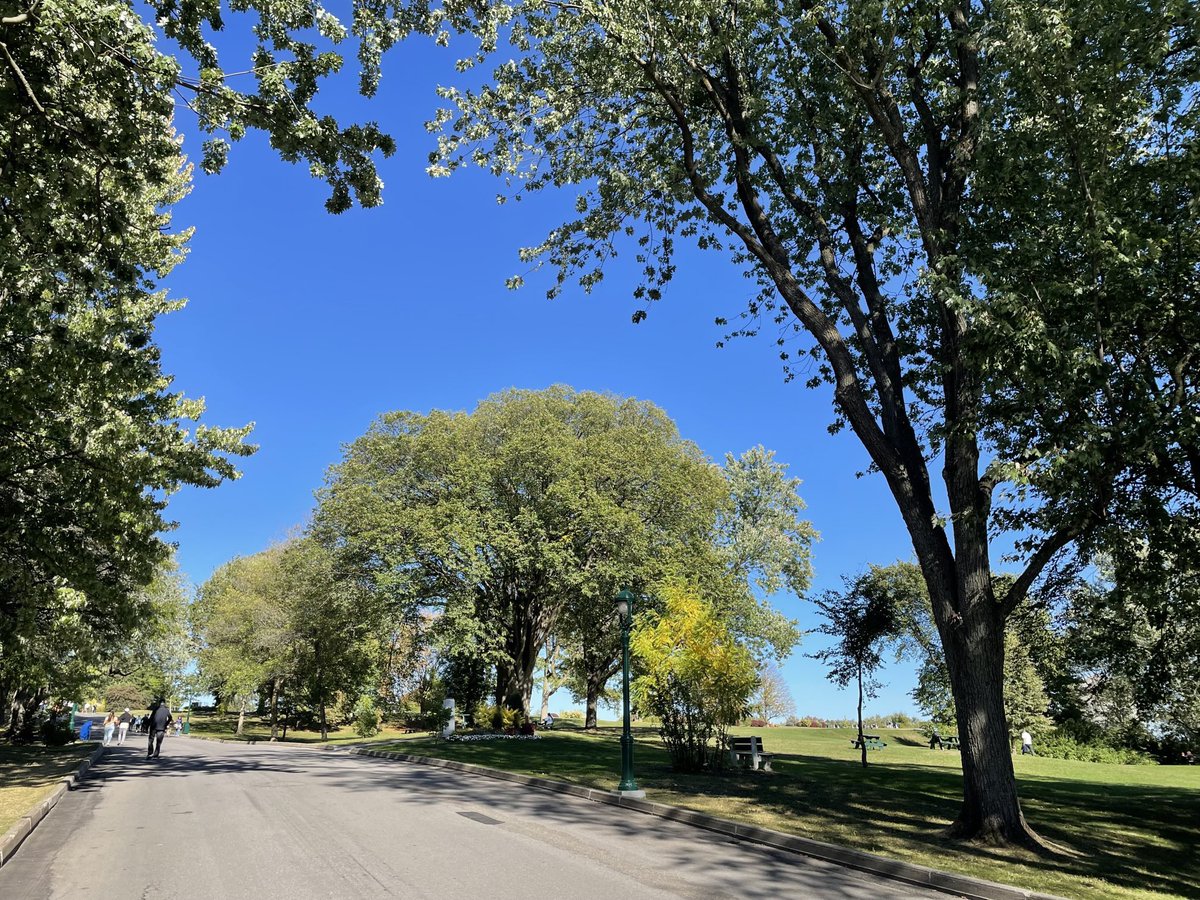 C. Tremblay tweet media