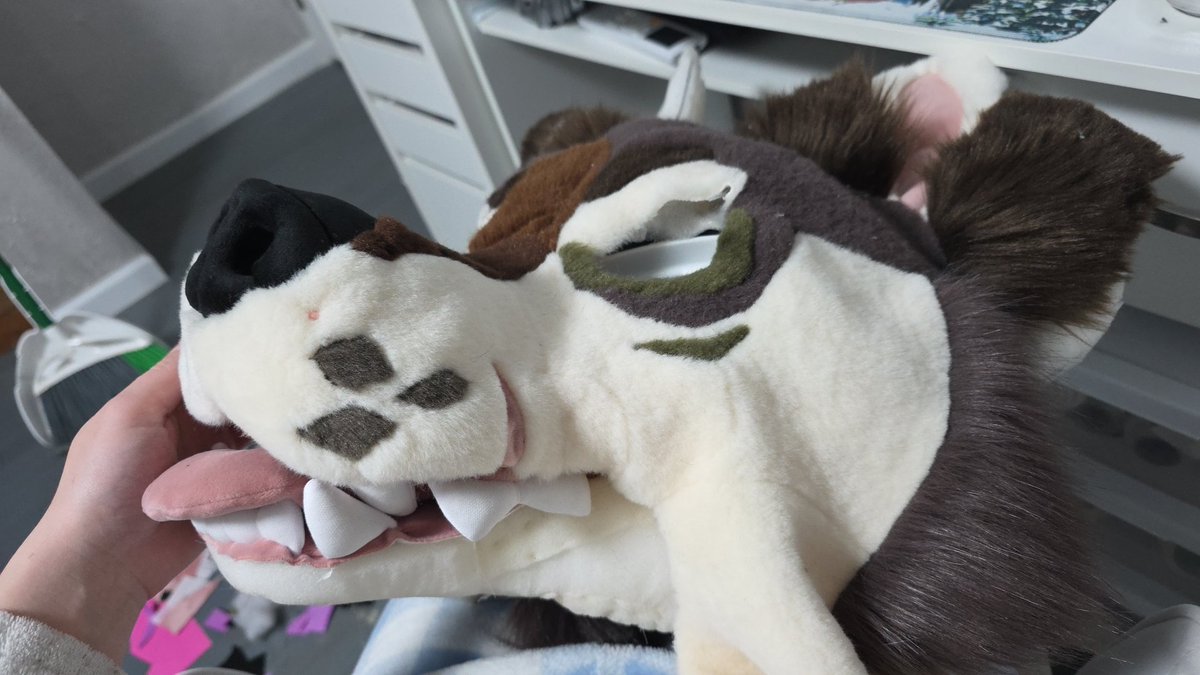 Lyla ✨️ tweet media