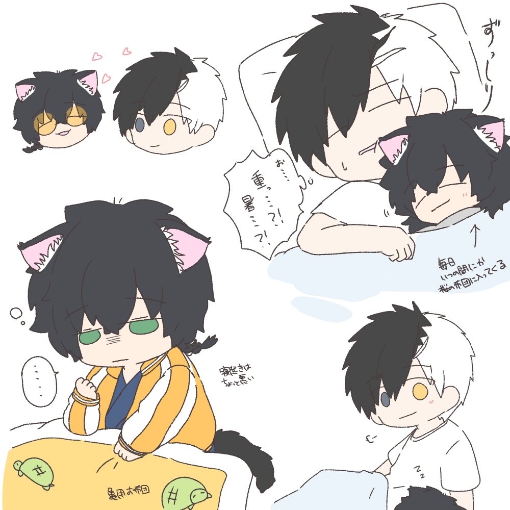 2.22🐱🐢(再掲🐾)