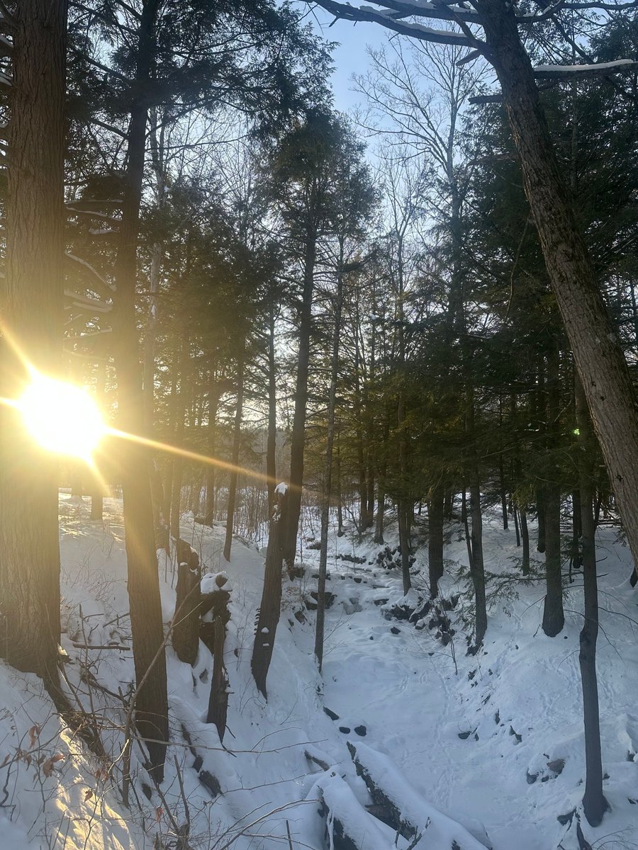 SolitudeFarmz's tweet photo. There is a quiet in Winter on its coldest days that calms the spirit https://t.co/ekOgIQeZ5S