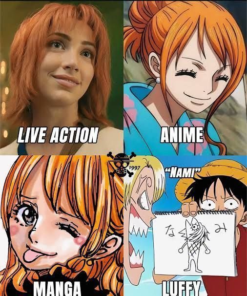 One Piece Daily (@opdaiiy) on Twitter photo 