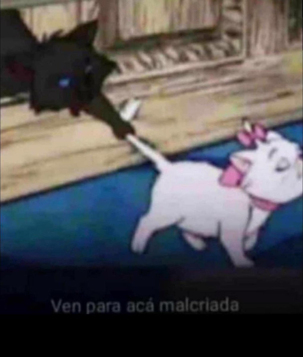 Bandidosfrasess's tweet photo. https://t.co/2IZYi3QiSj
