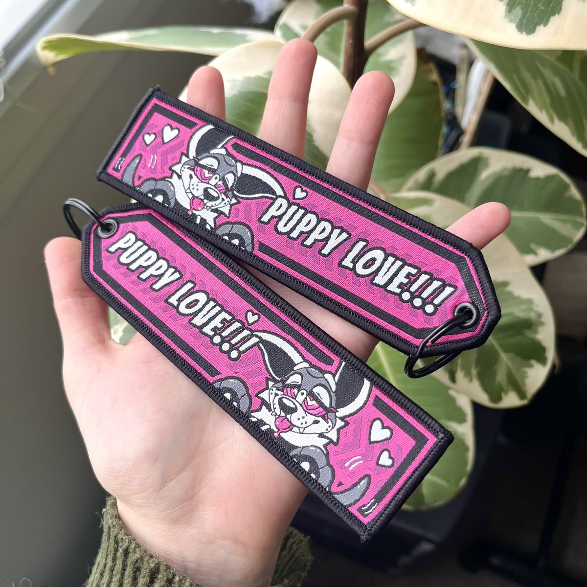 AUZUTEA @ TFF, AC tweet media