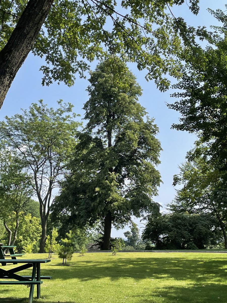 C. Tremblay tweet media