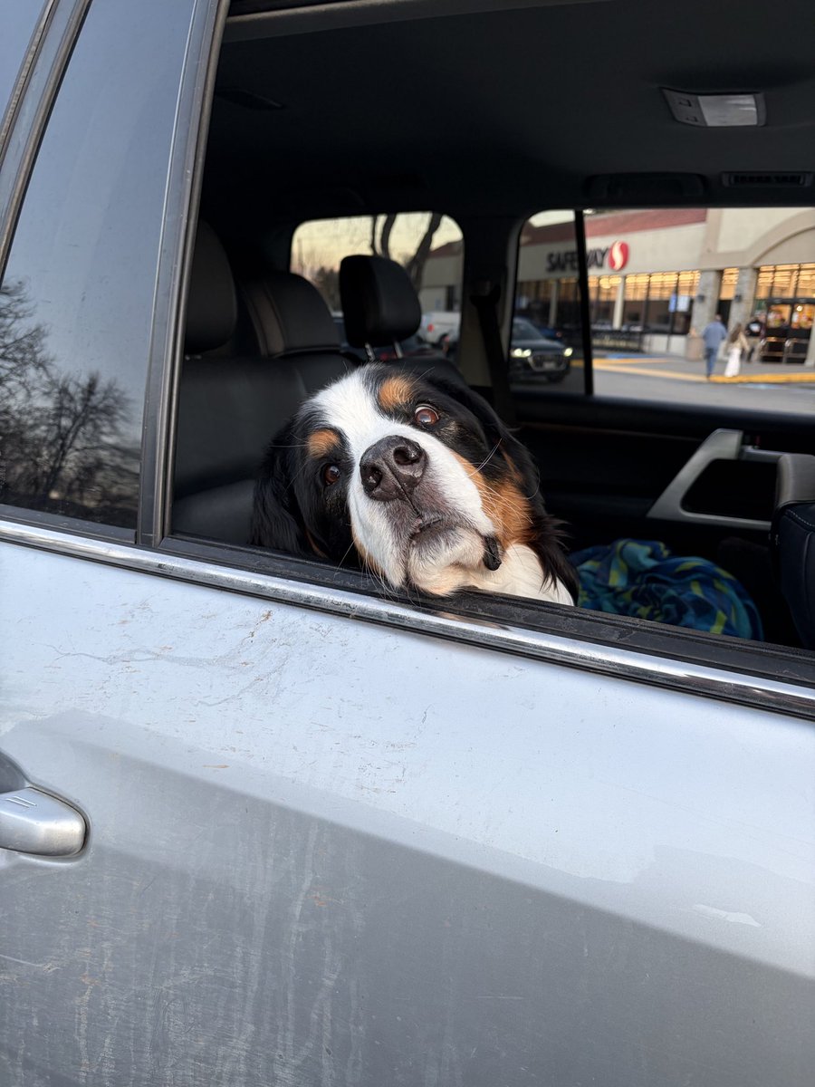 somecontextsuburbia tweet media