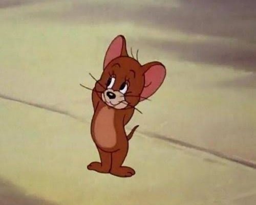 புதிய பறவை tweet media
