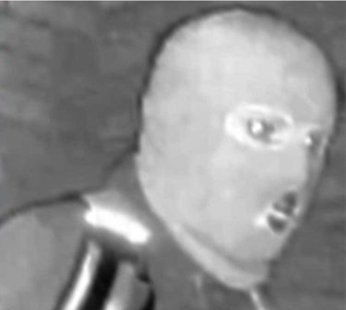 SEricksonUT's tweet photo. @FBIDirectorKash When I asked AI to remove the face mask, this is what I got https://t.co/bjepYI32Pp