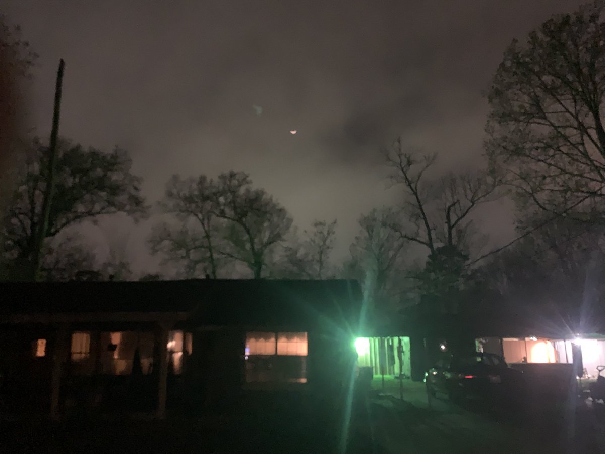 We’re all mad here. 

🌙