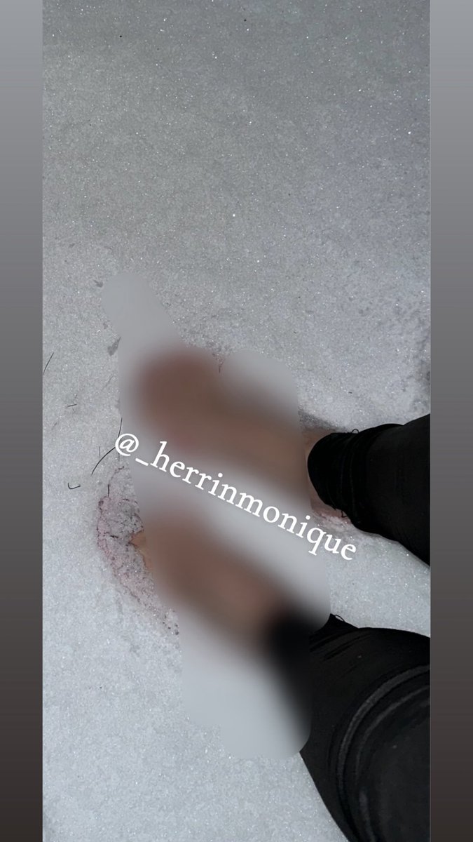 _herrinmonique's tweet photo. Meine Füße sind voller Schnee Sklave 🧎 

Du wirst so lange an meine Füße lecken bis sie wieder heiß sind 🔥

Leck Sklave Leck ich will dein Sabberlappen richtig spüren! https://t.co/b77n7CFOix