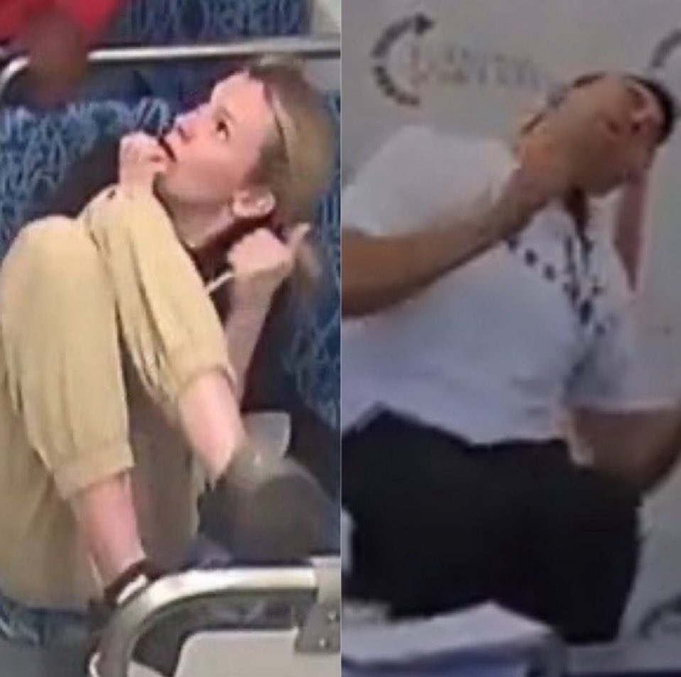 Phoenix Monacensis tweet media