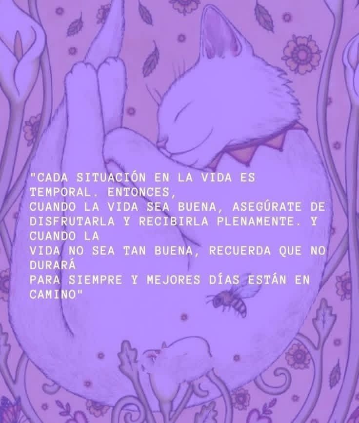 Dilo con gatitoz tweet media