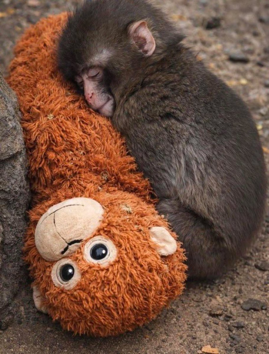 Toni García Arias tweet media