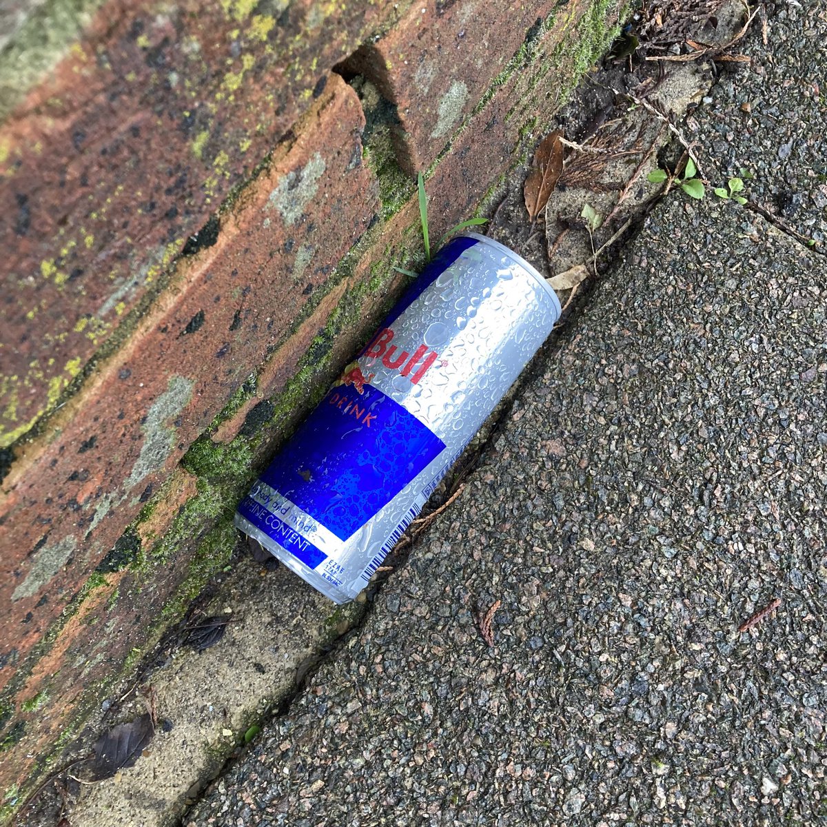 Red Bull Litter tweet media