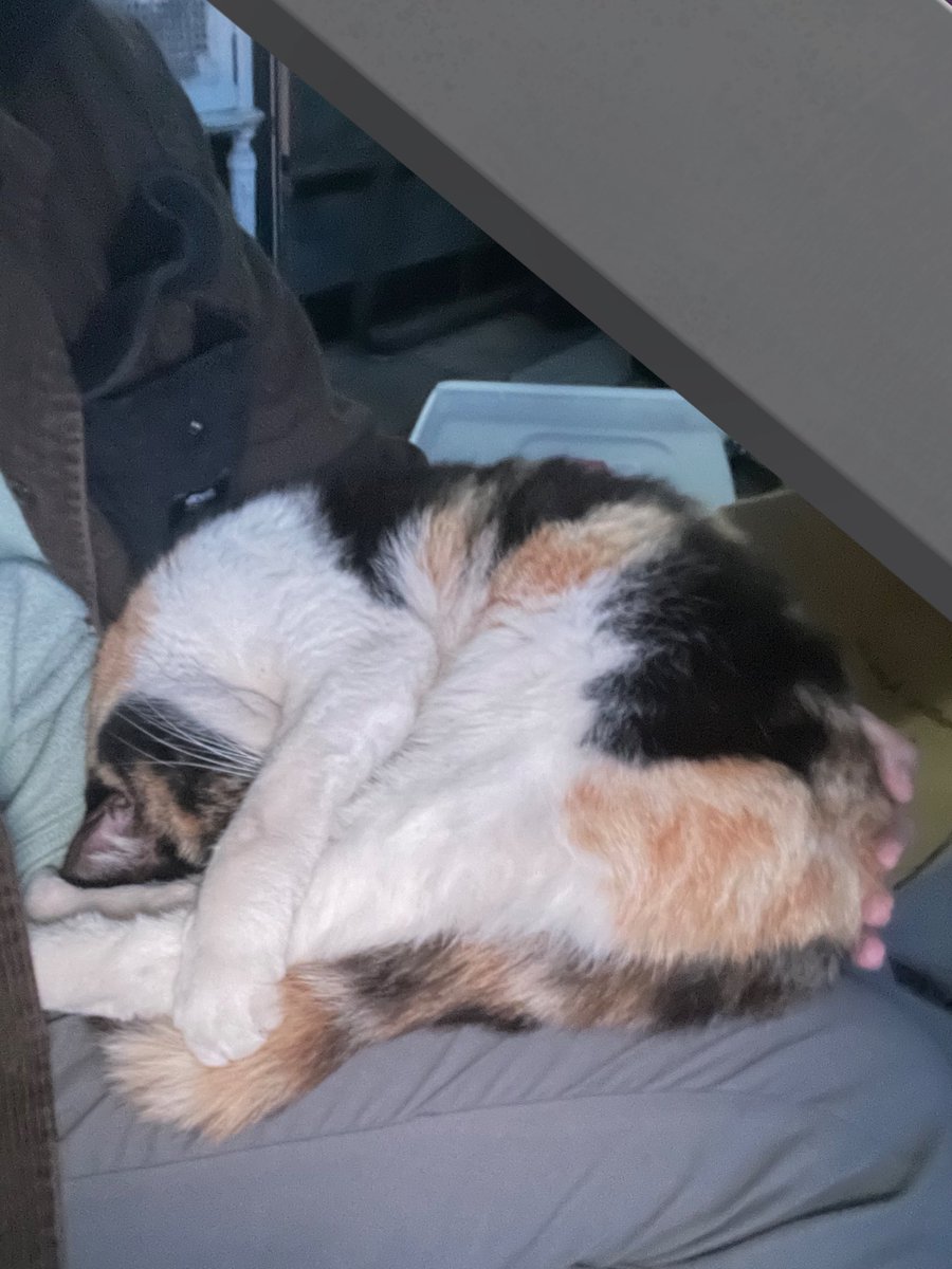 eden 😴💤 (@edenxyx) on Twitter photo 