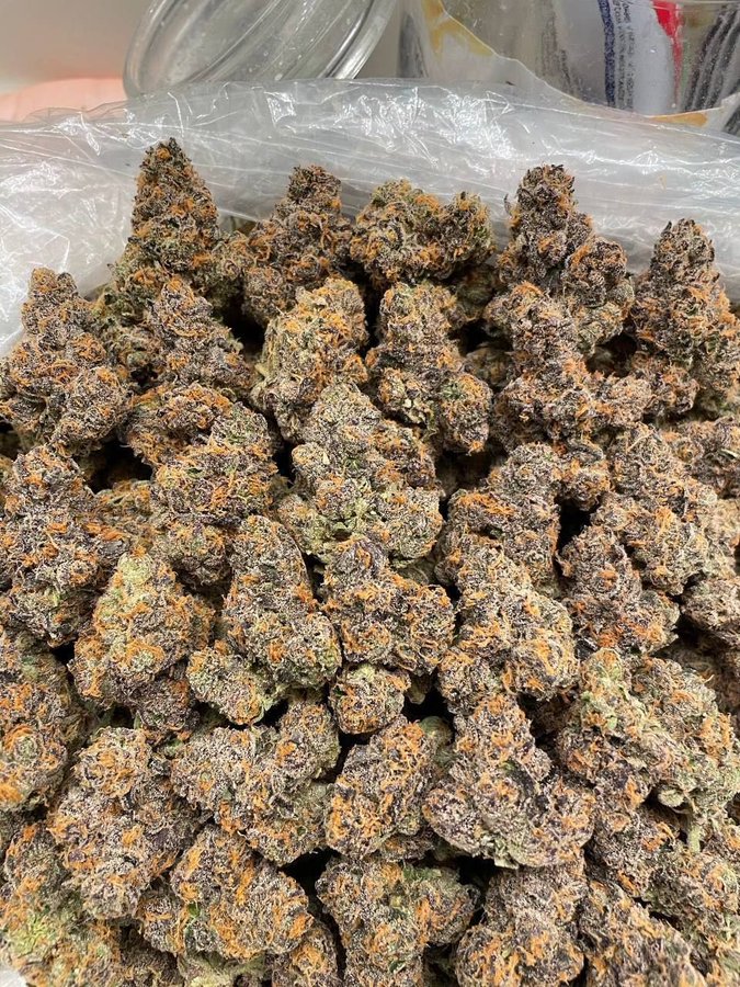 Herb Approach tweet media