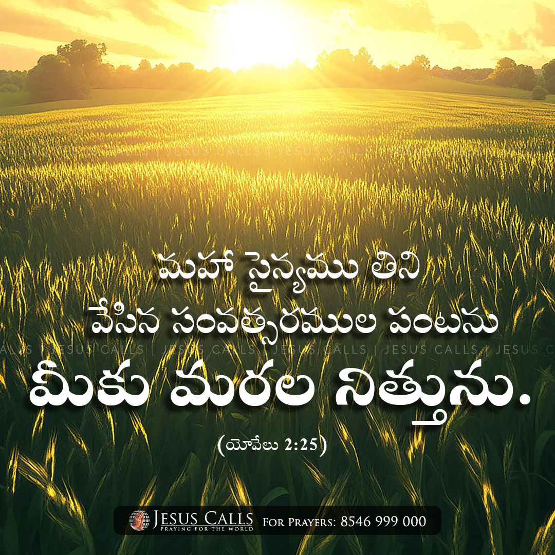 Jesus Calls tweet media