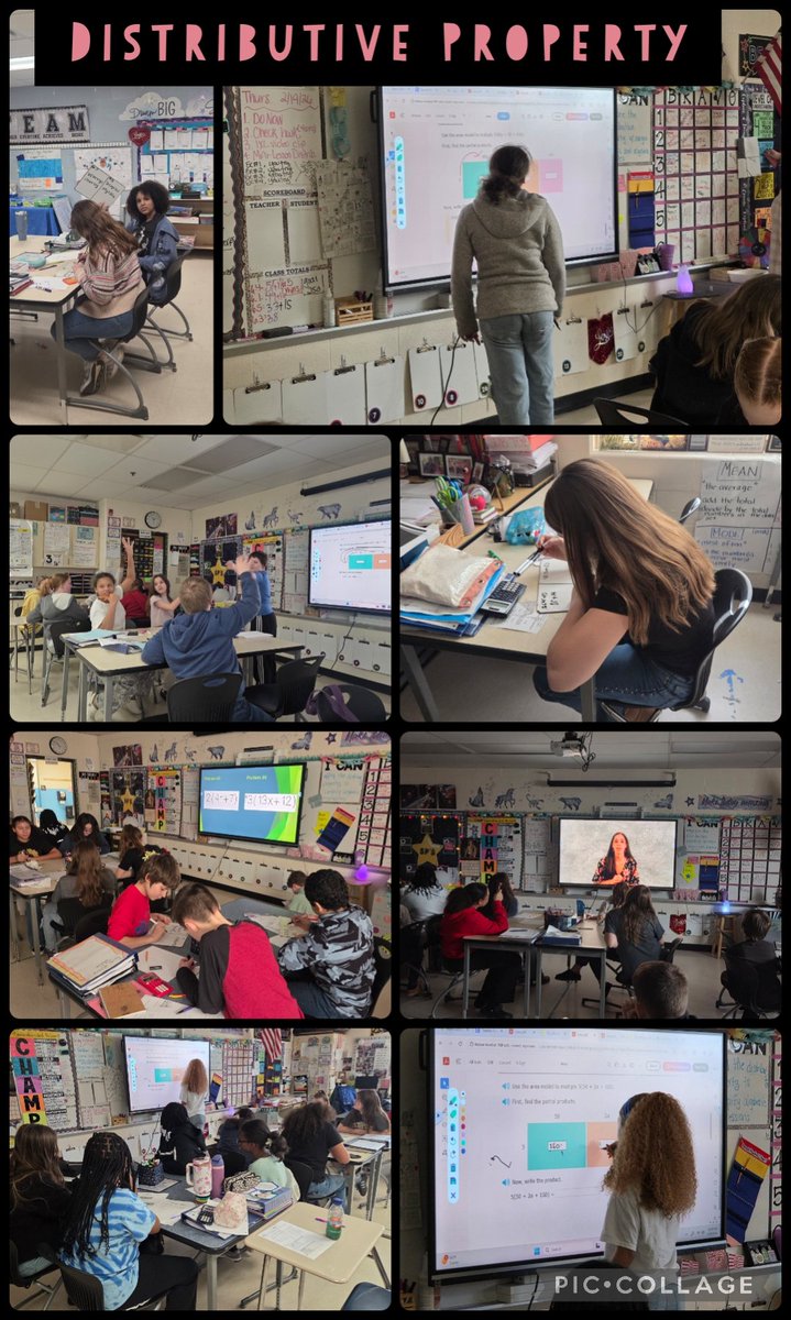 StephanieCollier225 tweet media