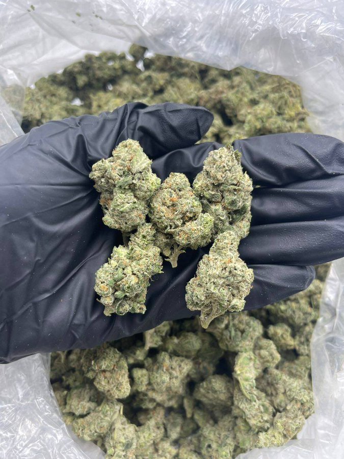 Herb Approach tweet media