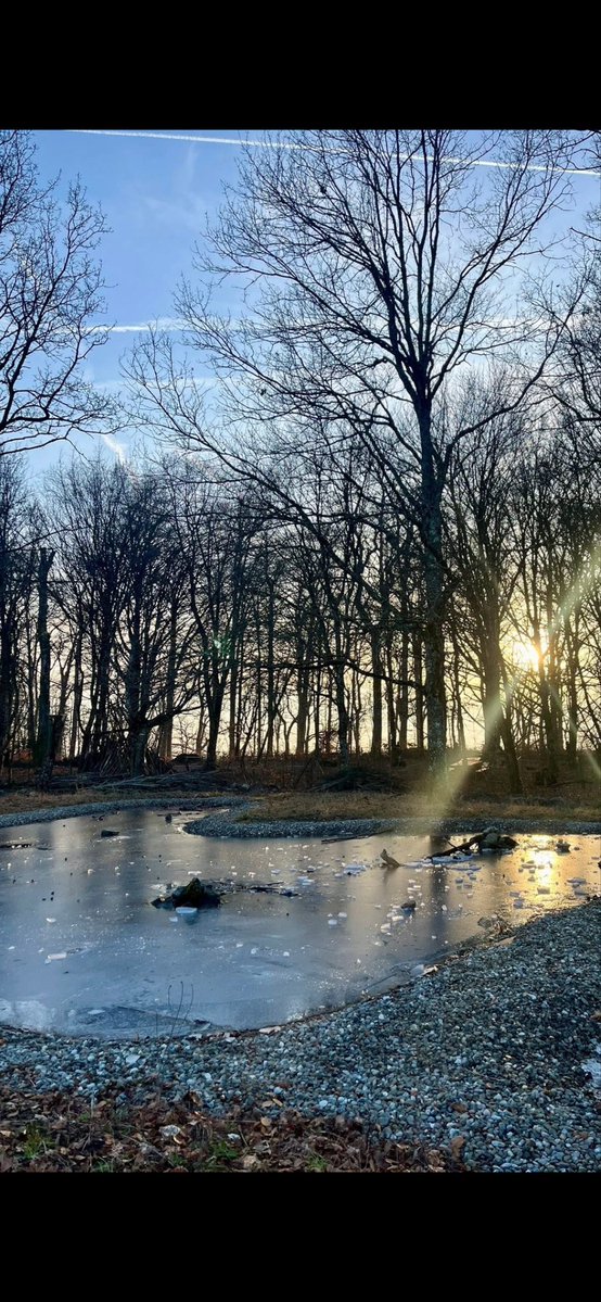 Happy #Caturday ❤️😻
.<a href="/reinosoj2/">Javier Reinoso</a> 😻+ All our 🌎wide #ReinosoFamily friends. 
Winter is still hanging on here but  Spring is on it’s way! 🙌
Managed a couple of dry walks and got a few ok shots. 
Wishing everyone a peaceful weekend, much 💞from 🇨🇭🥰