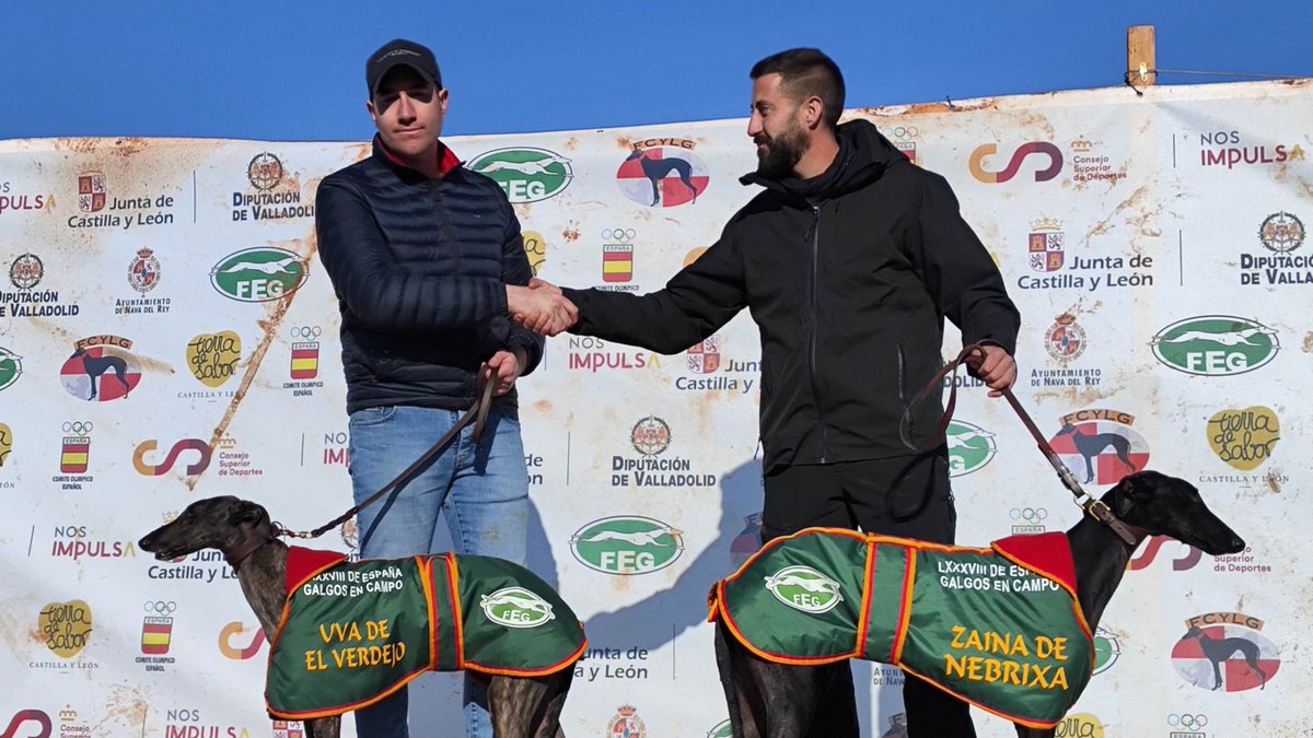 Zaina se lleva el campeonato de España de Galgos a Andalucía

diariodevalladolid.es/ocio/caza-y-pe…