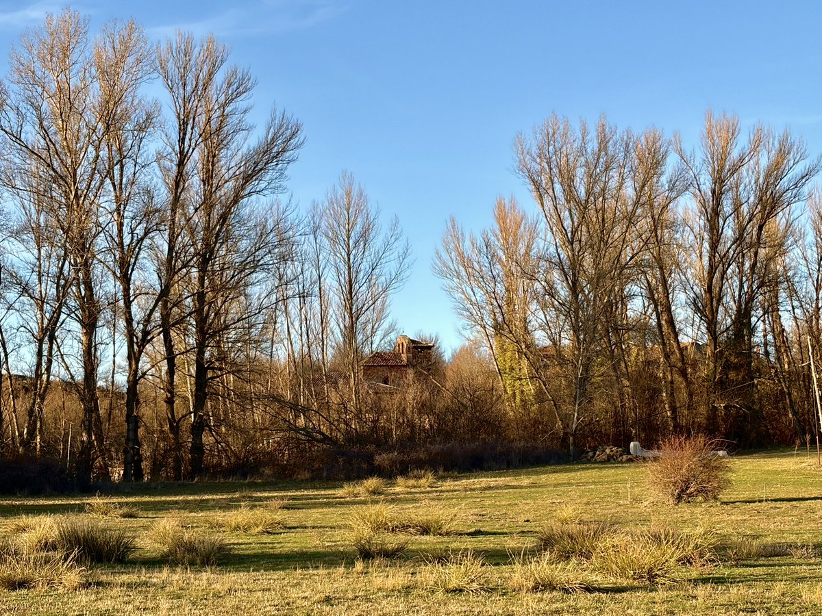 nachoramosc's tweet image. La hora dorada en la Sierra Norte de Guadalajara. #Atardecer #Guadalajara ##Castilla
