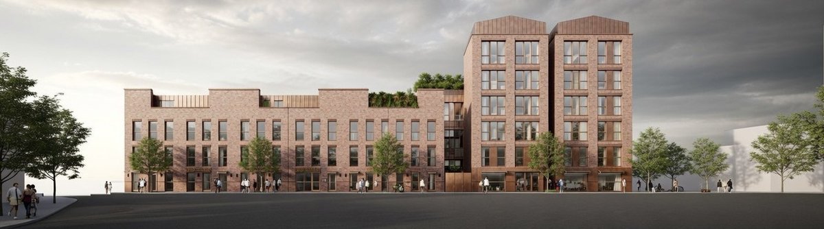 David Cross tweet media