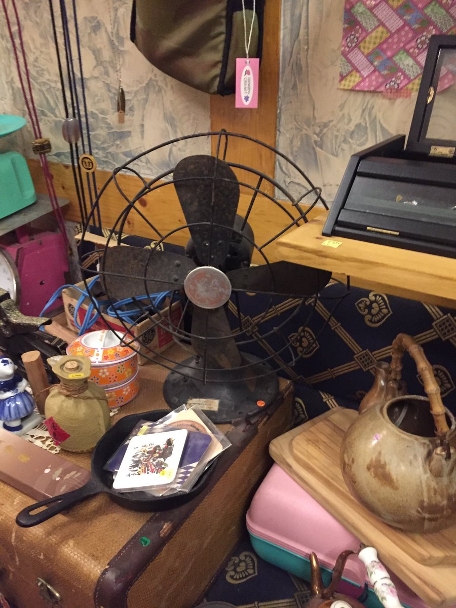໒꒱ tweet media