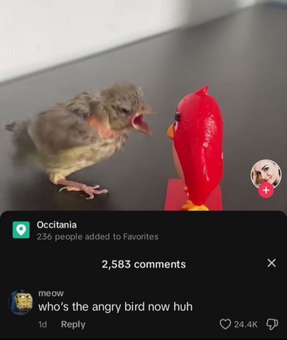 Nature Vids (@natureinmemes) on Twitter photo 