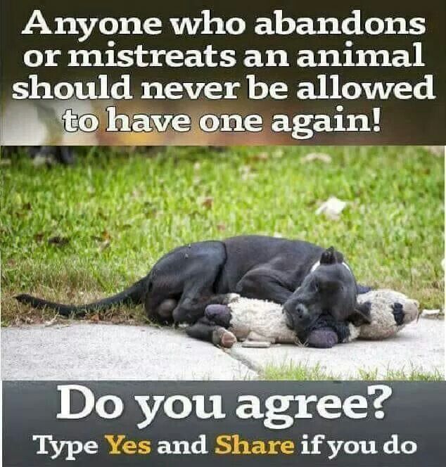 KreepersIE's tweet image. RT @DogLovers03: