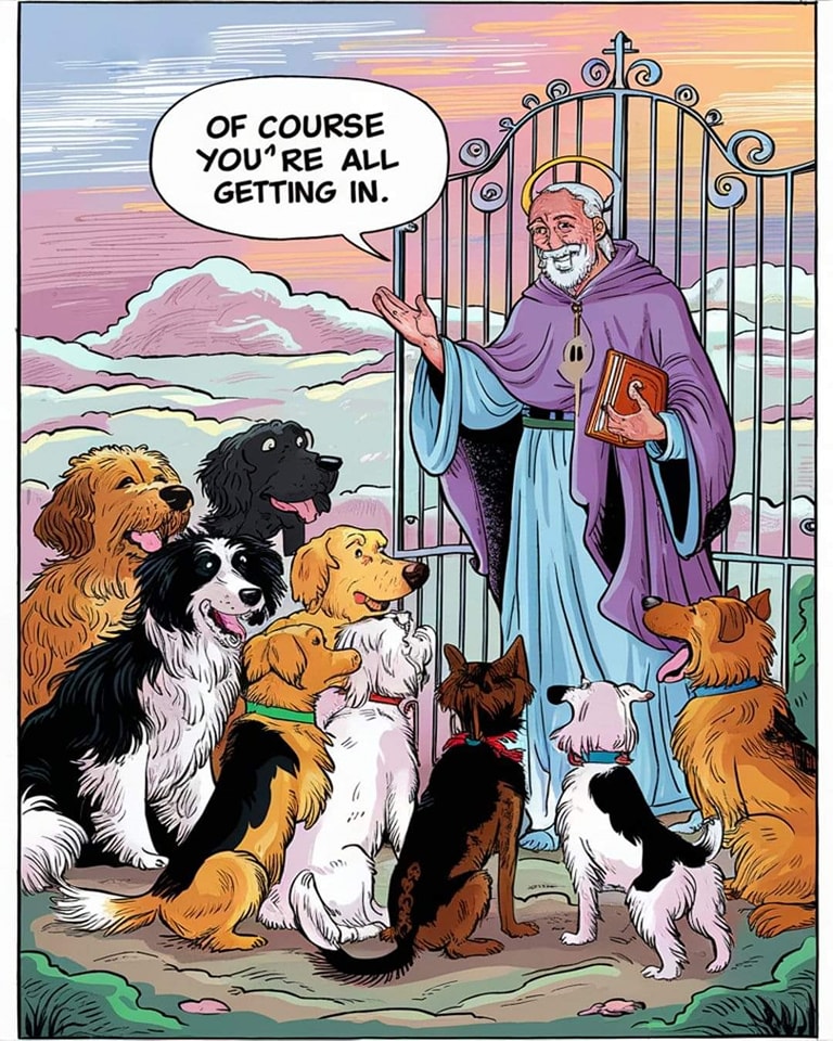 𝕏 Dogs tweet media