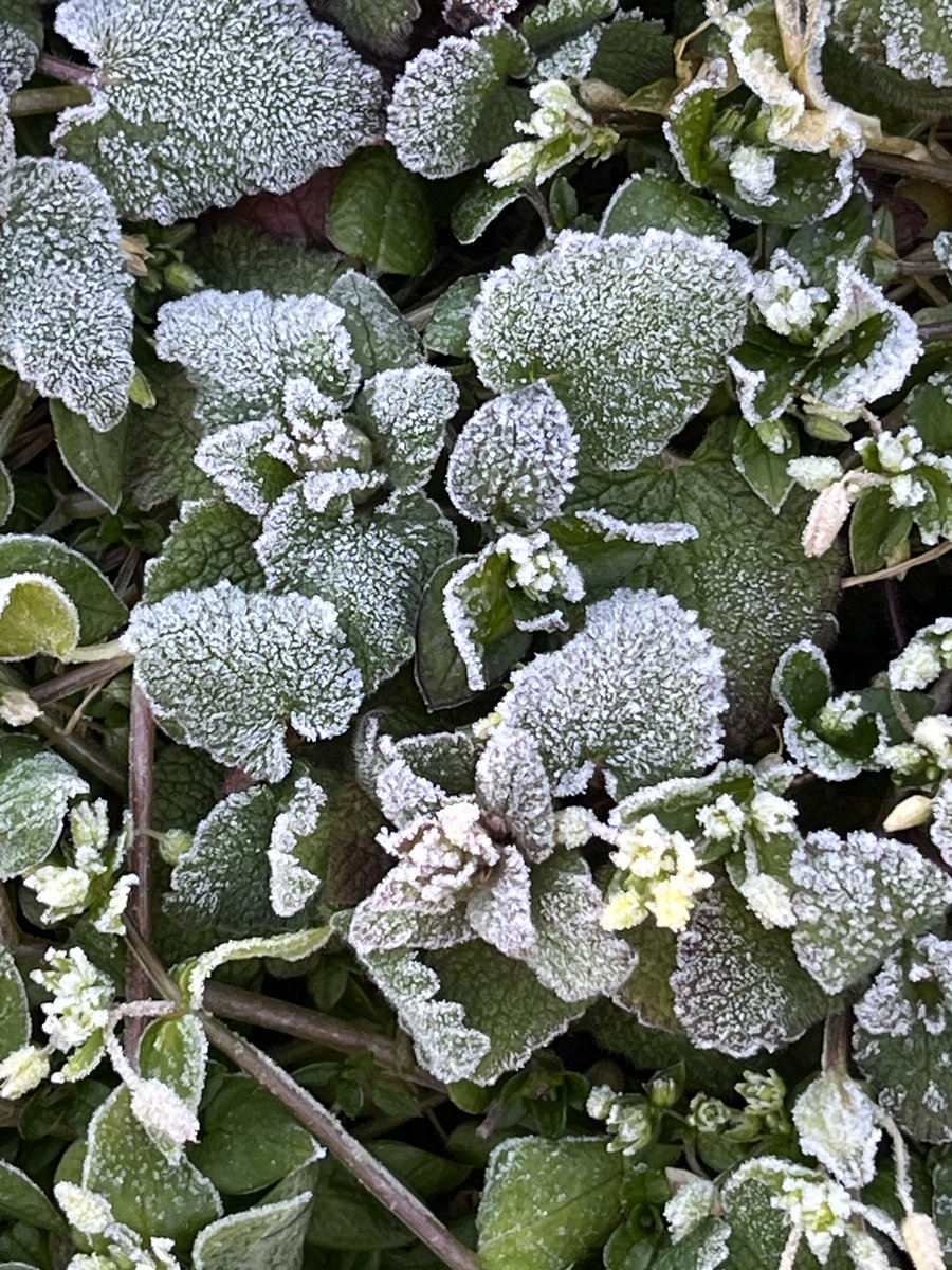 6144Kuromame's tweet image. 