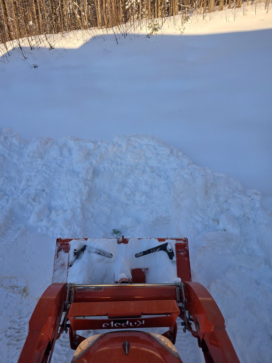 CryptoHolmes (gir,gir) tweet media