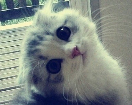 ℬ ❦ (@tae7gi) on Twitter photo 