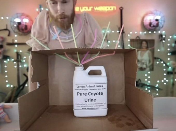 Heister Posting (The Revial) tweet media