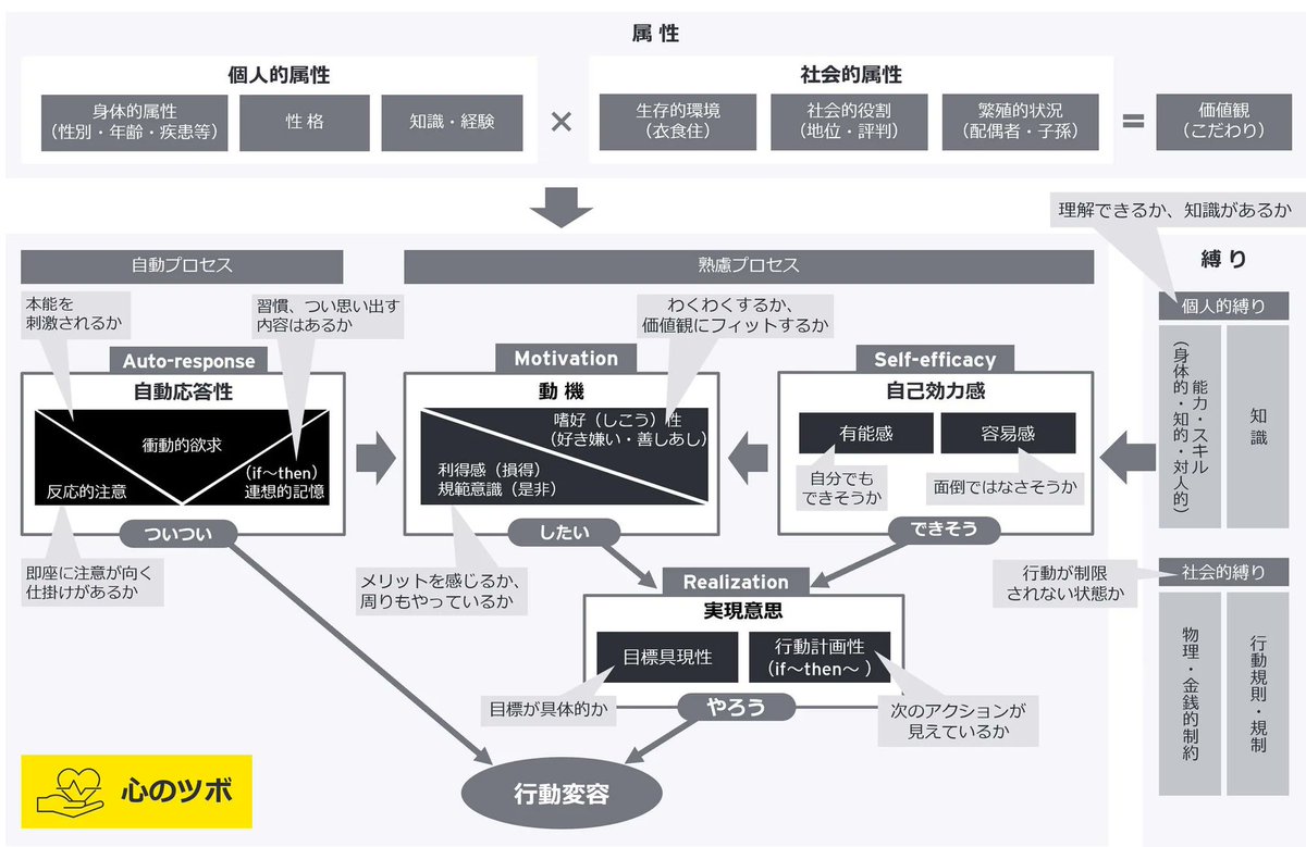 コリー tweet media