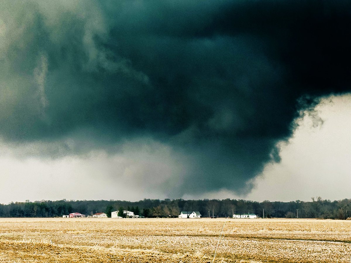 Nick DiFiglia 🌪️ tweet media