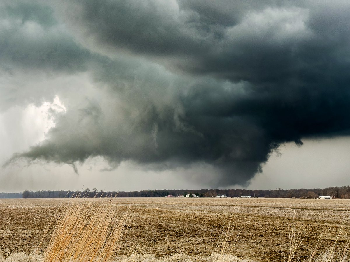 Nick DiFiglia 🌪️ tweet media