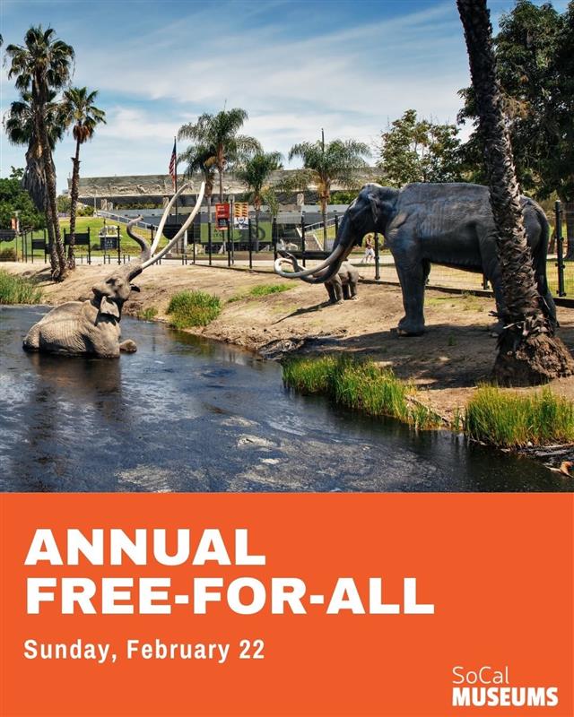 Holly J. Mitchell tweet media