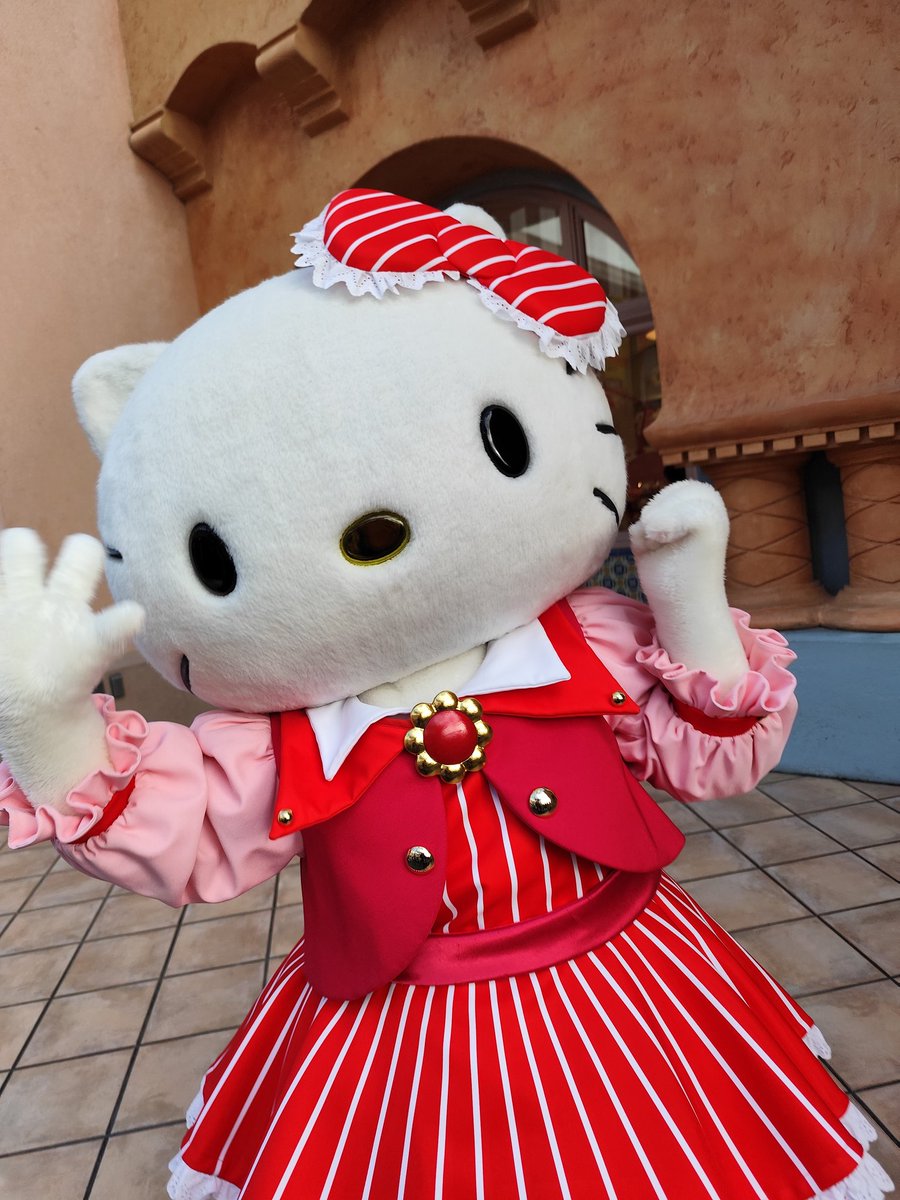 おはようございます✨️今日は2月22日でニャンニャンニャンの日ですね