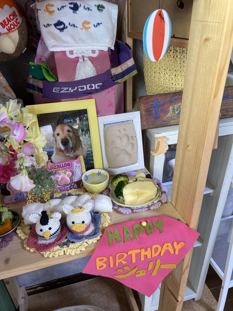 Ponponsherry's tweet photo. ネコちゃんが大好きだった2月22日、今年元気だったら12才のお誕生日でした。シェリーおめでとう🎈
今回だけ投稿させてもらいます。 https://t.co/rTVh5rXdAt